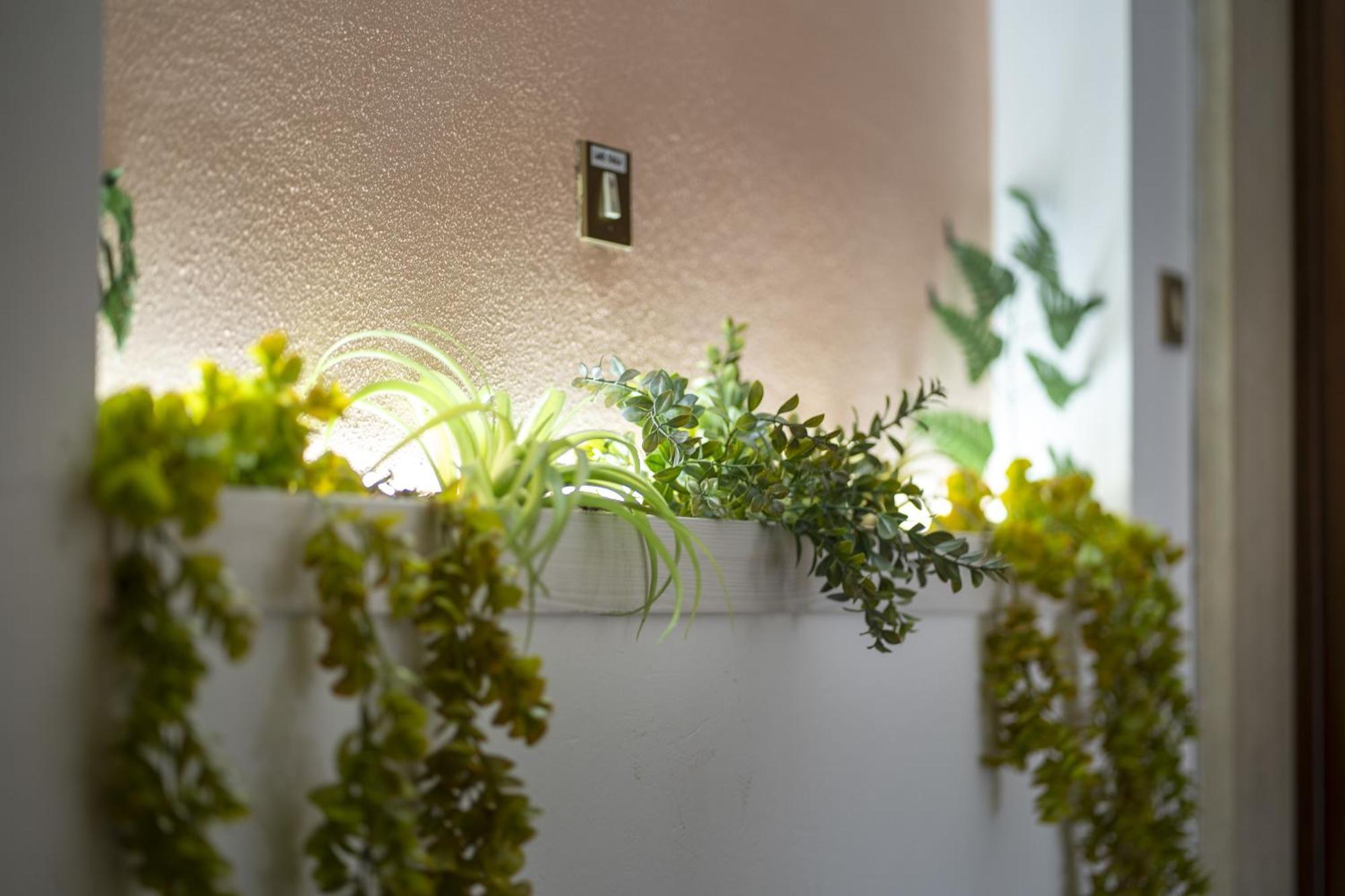 Affittacamere Orchidea For Tourists Hesperia Hosp Modena Exterior photo